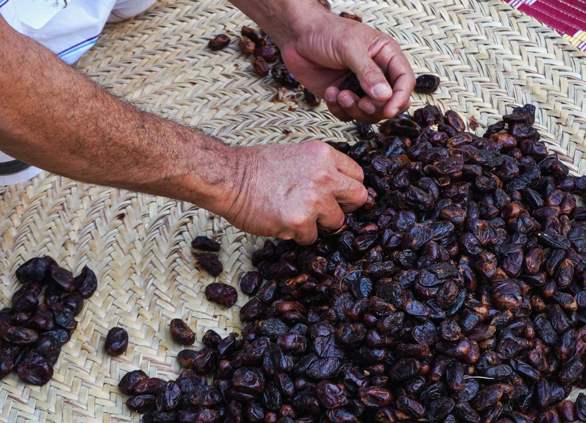 Portfolio Part 1 — Image 3