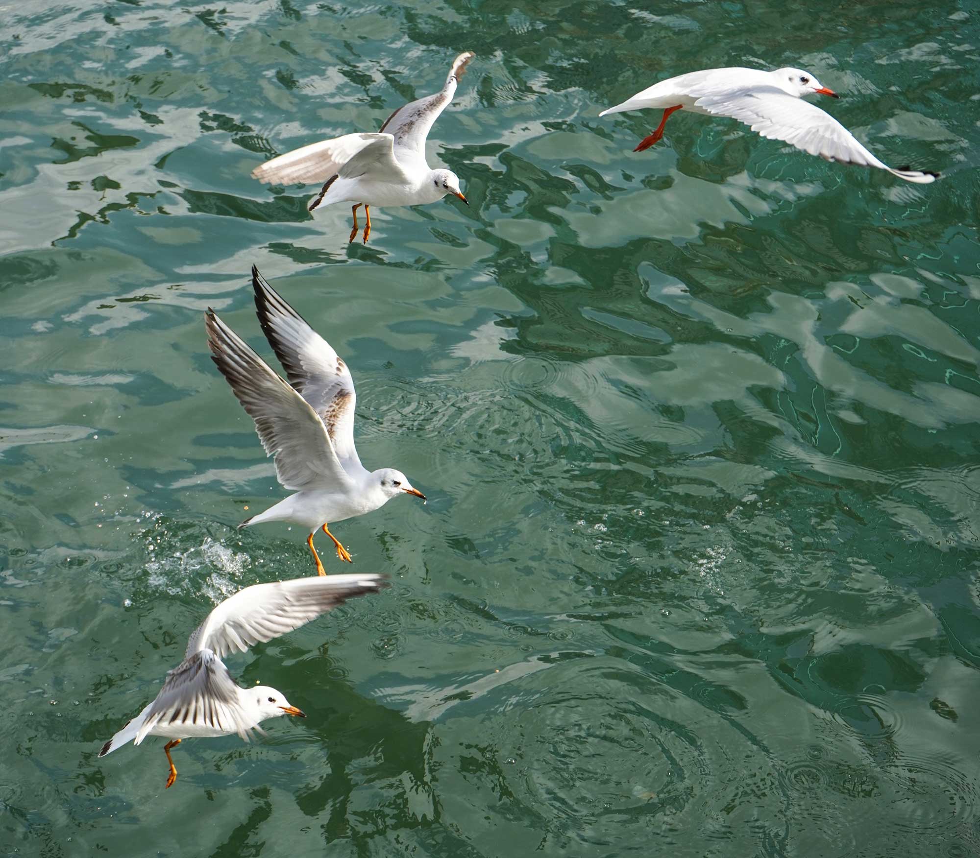 Portfolio Part 1 — Image 6