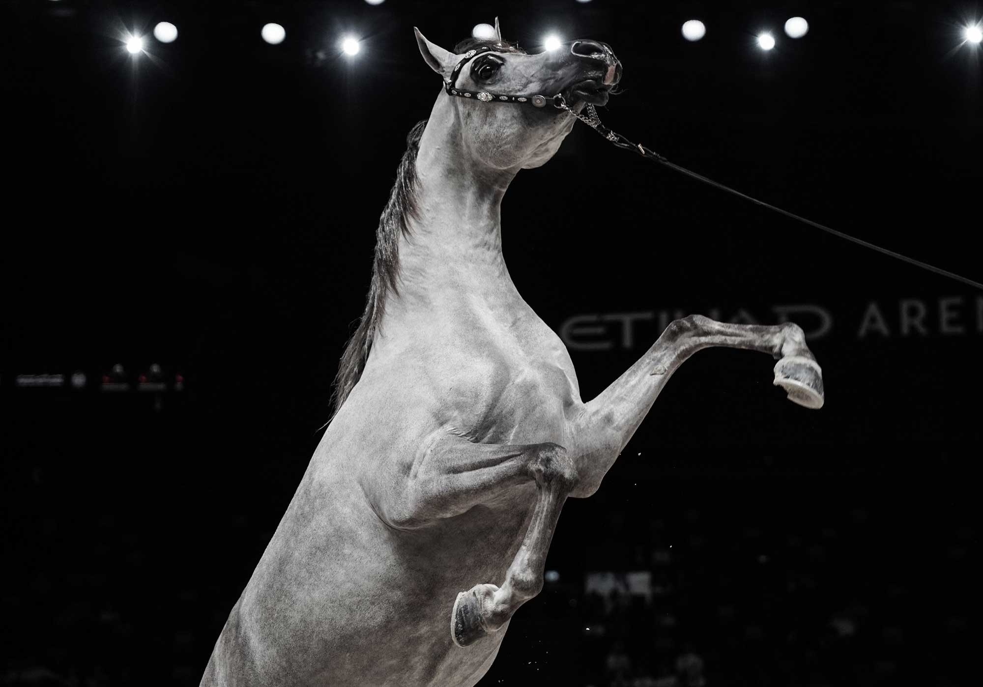 Portfolio Part 2 — Image 1