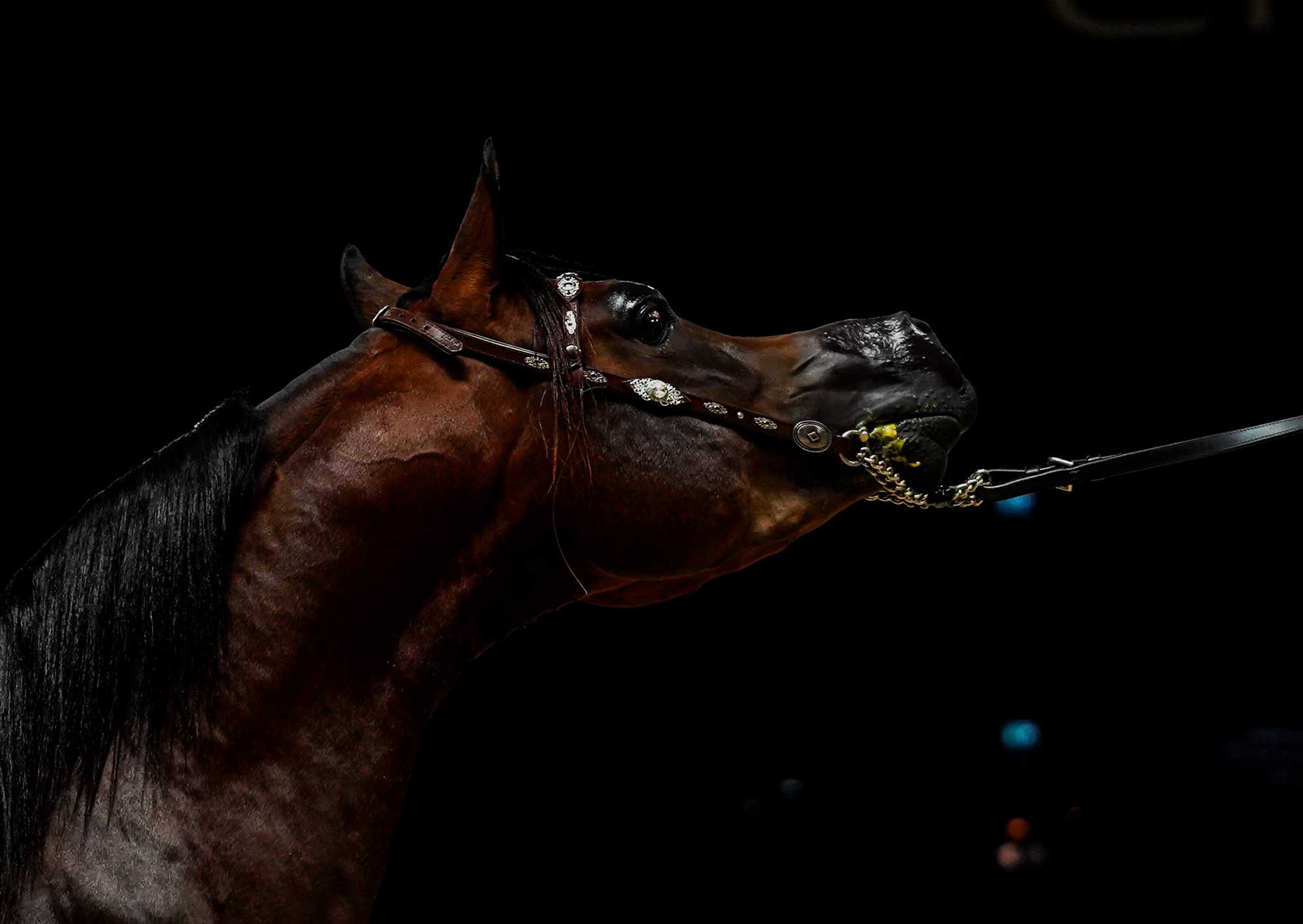 Portfolio Part 2 — Image 2