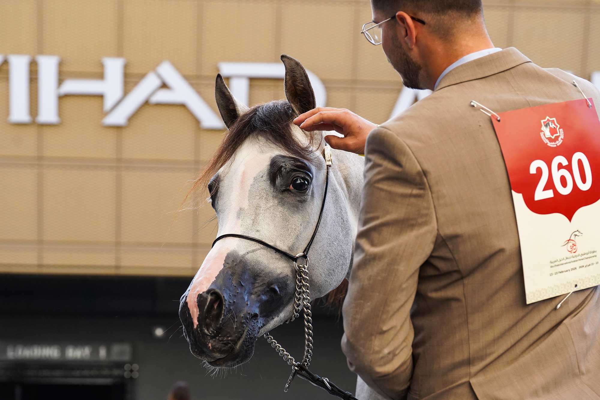 Portfolio Part 2 — Image 3