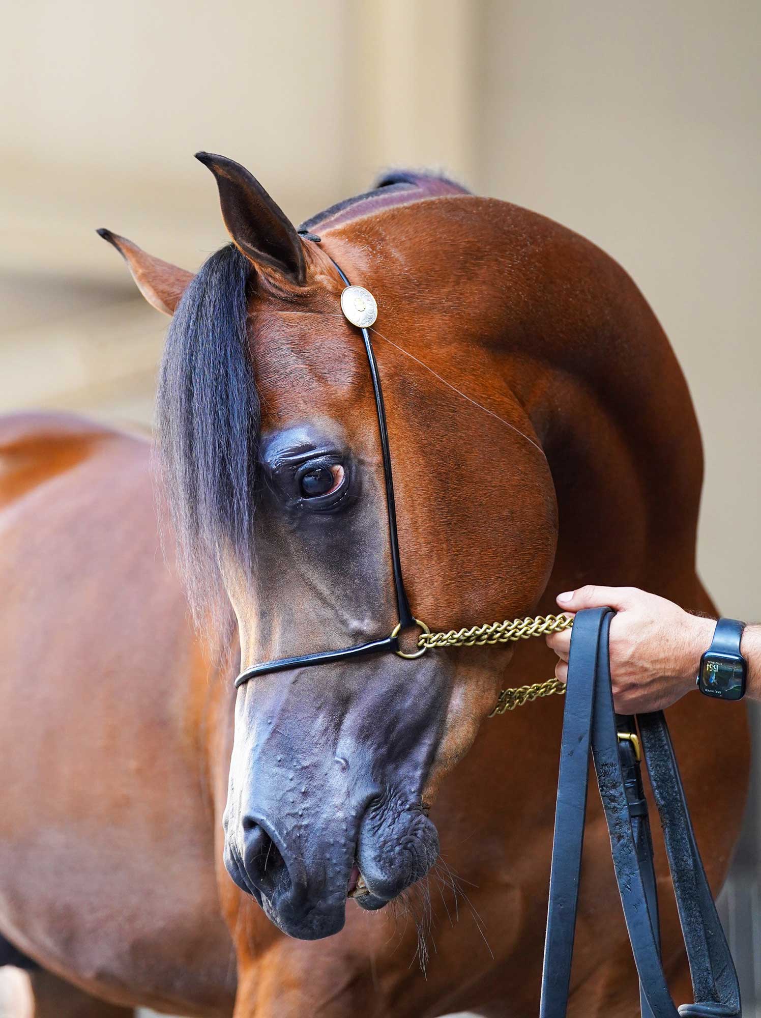 Portfolio Part 2 — Image 4