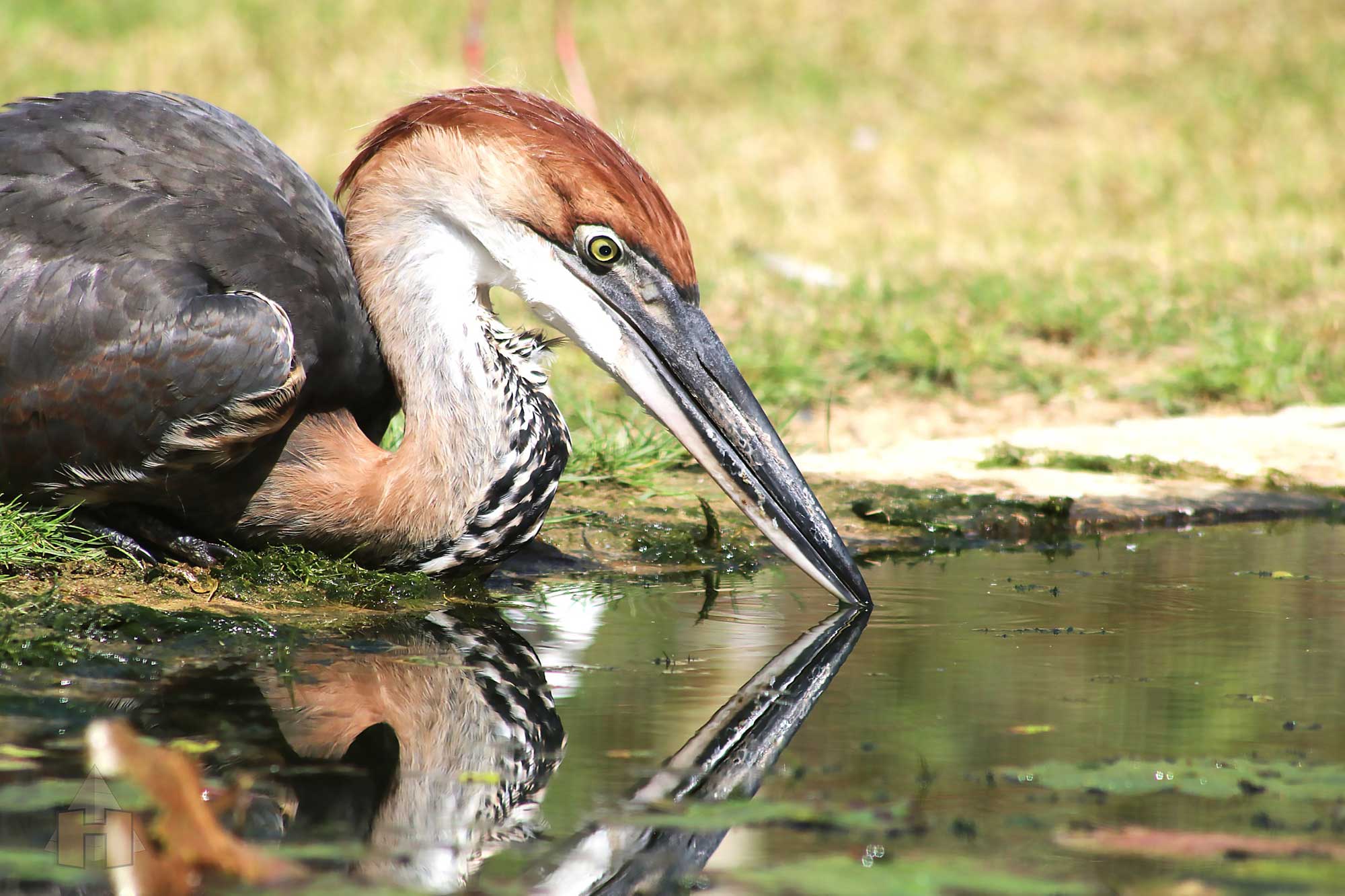 Portfolio Part 2 — Image 5