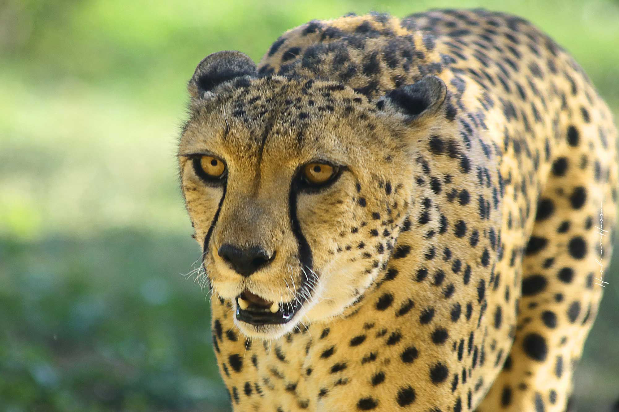 Portfolio Part 2 — Image 6