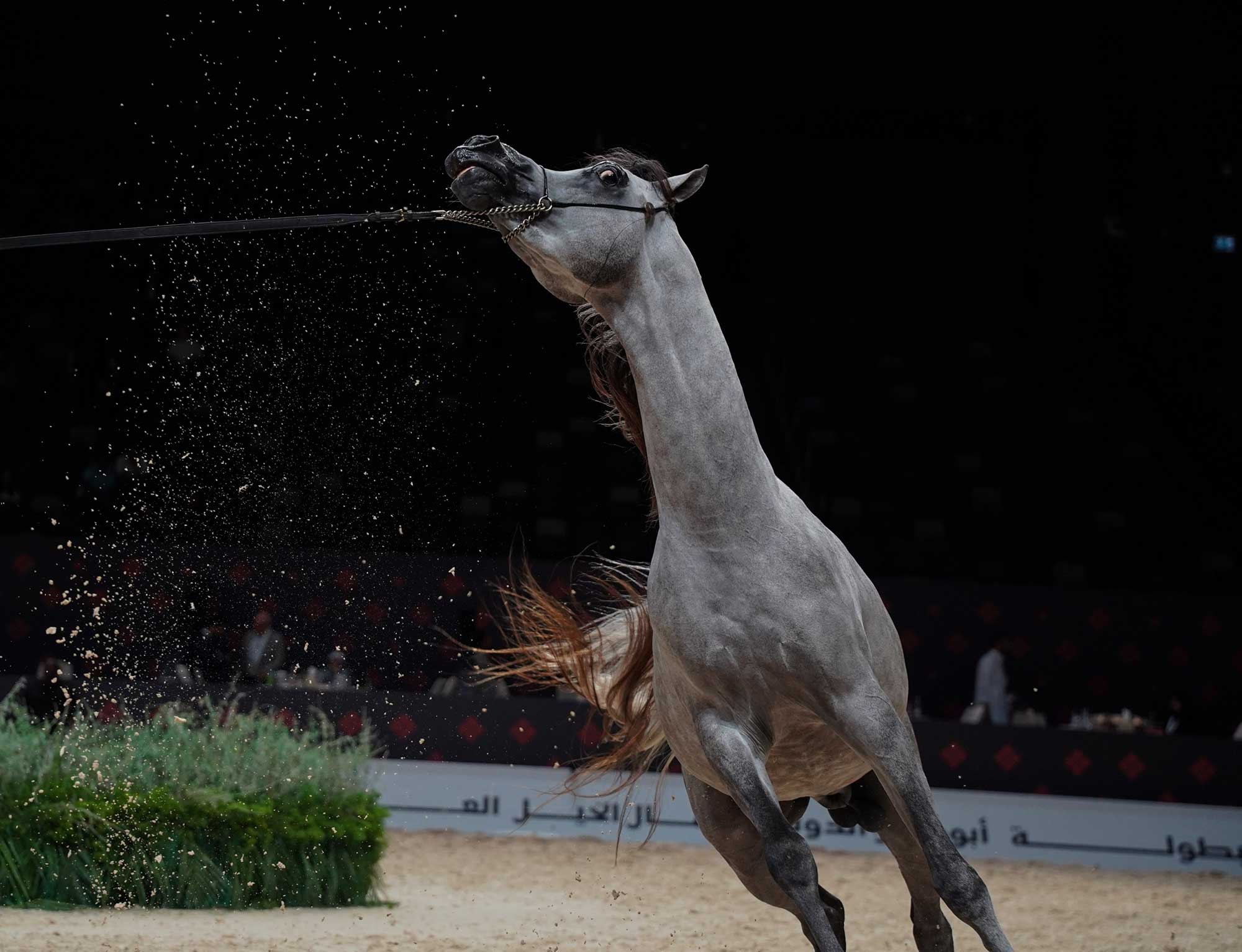 Portfolio Part 2 — Image 7