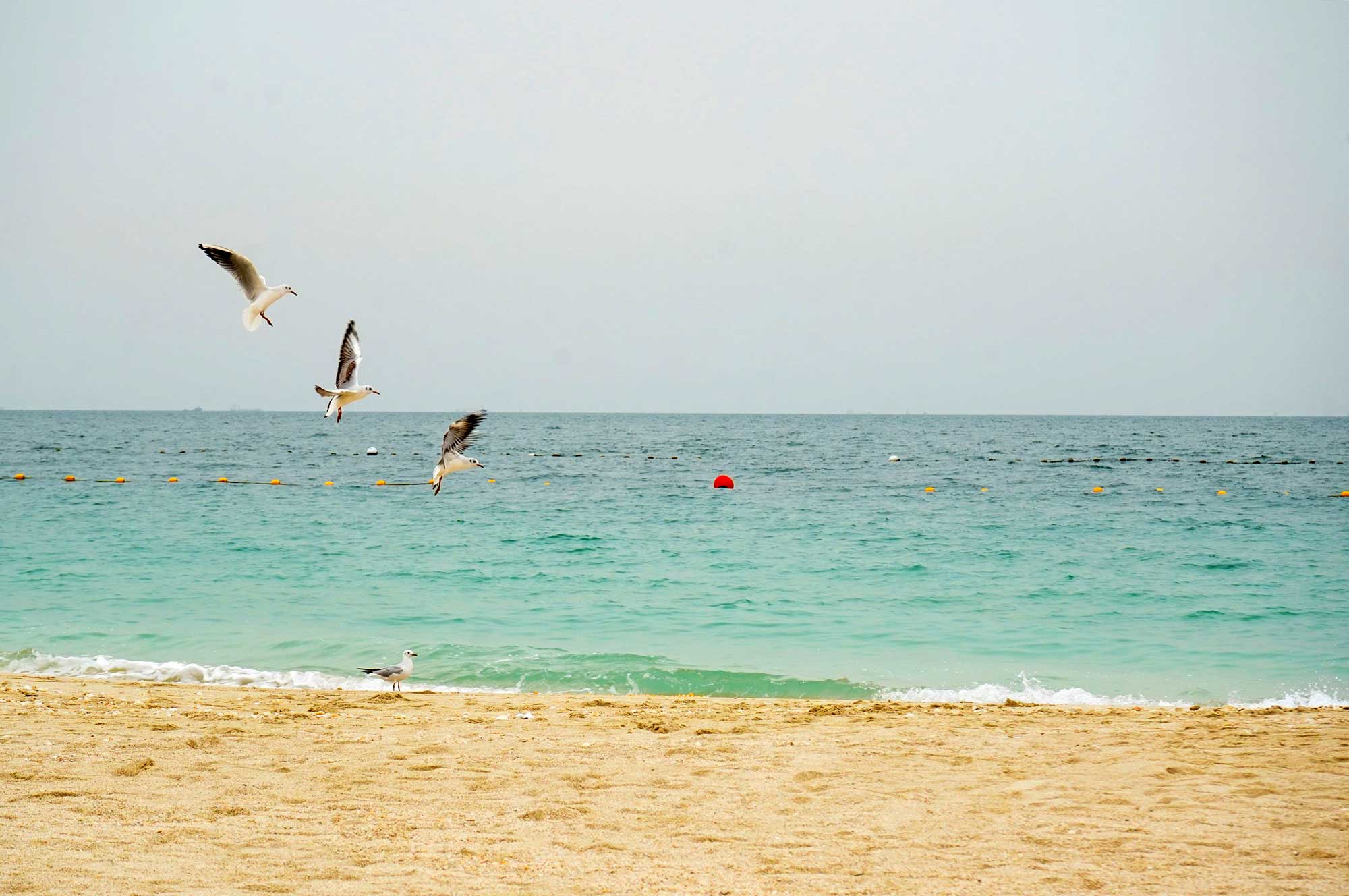 Portfolio Part 3 — Image 2